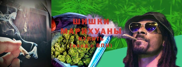 прущий лед Аркадак